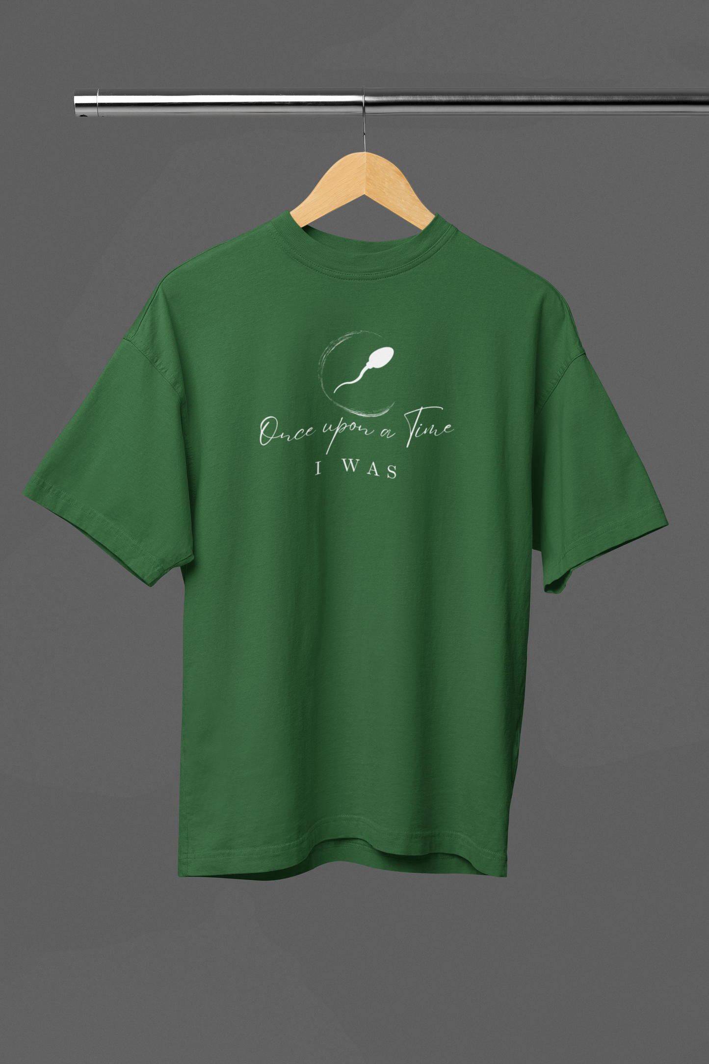 Once Upon a Time I was Unisex Oversized Classic T-Shirt