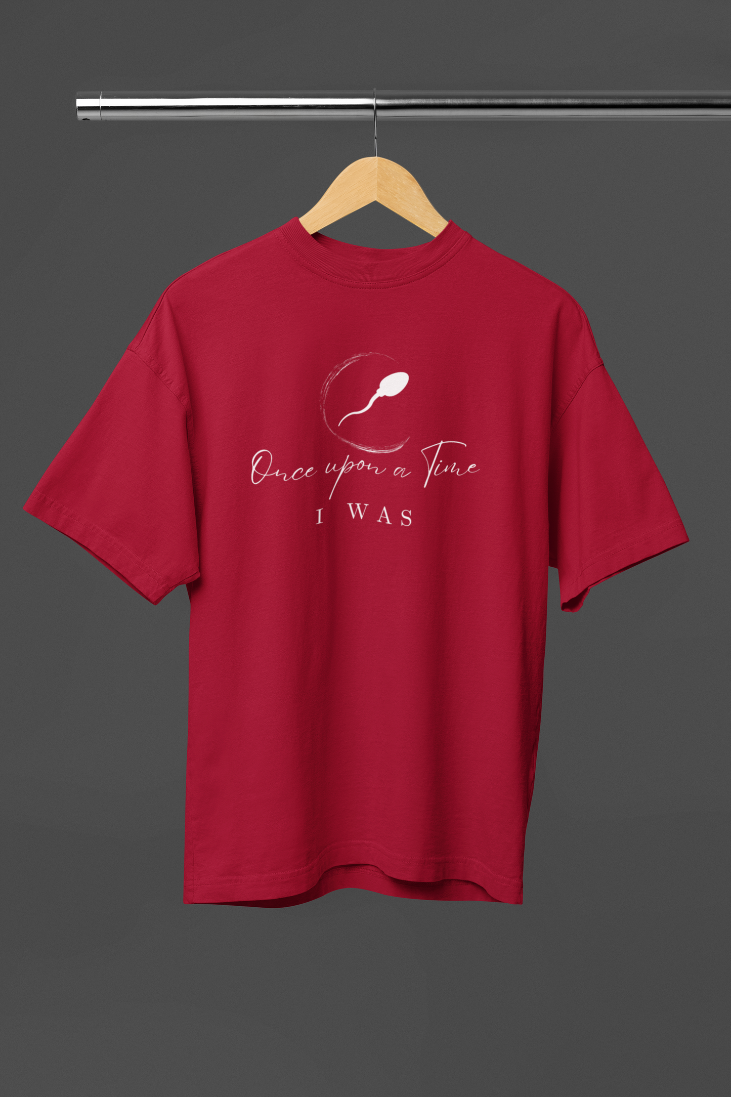 Once Upon a Time I was Unisex Oversized Classic T-Shirt
