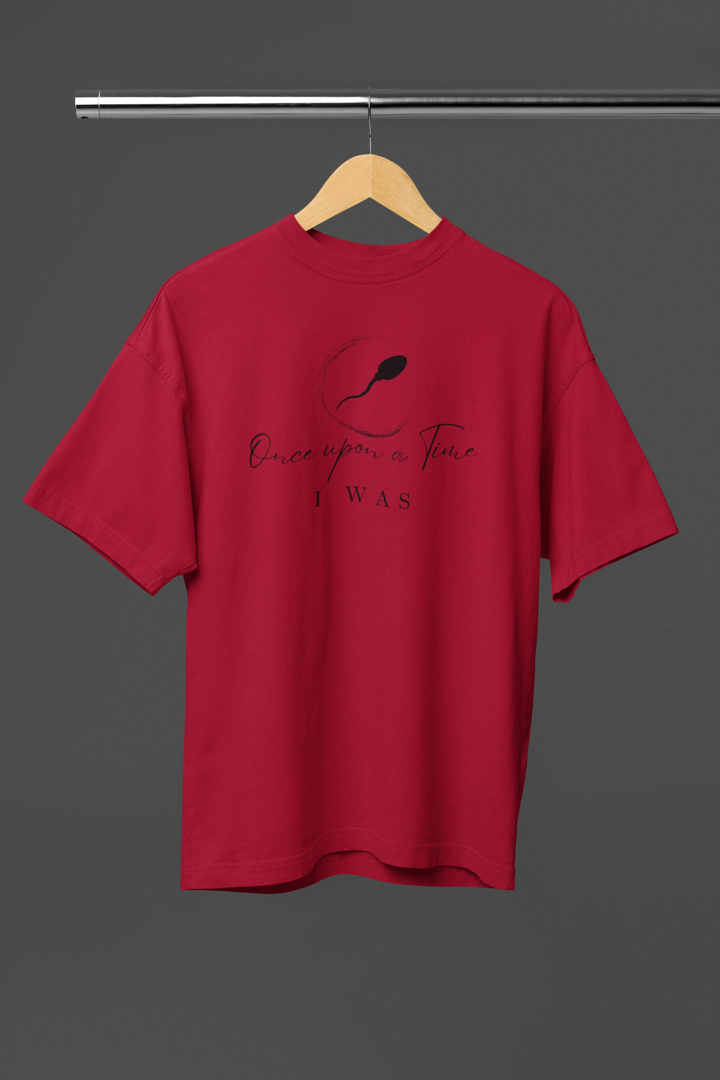 Once Upon a Time I was Unisex Oversized Classic T-Shirt